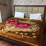 Hotel Ginni Executive By Devista