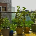 Cozy 1 Bhk With Free Pickup.