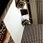 Punjabi Residency