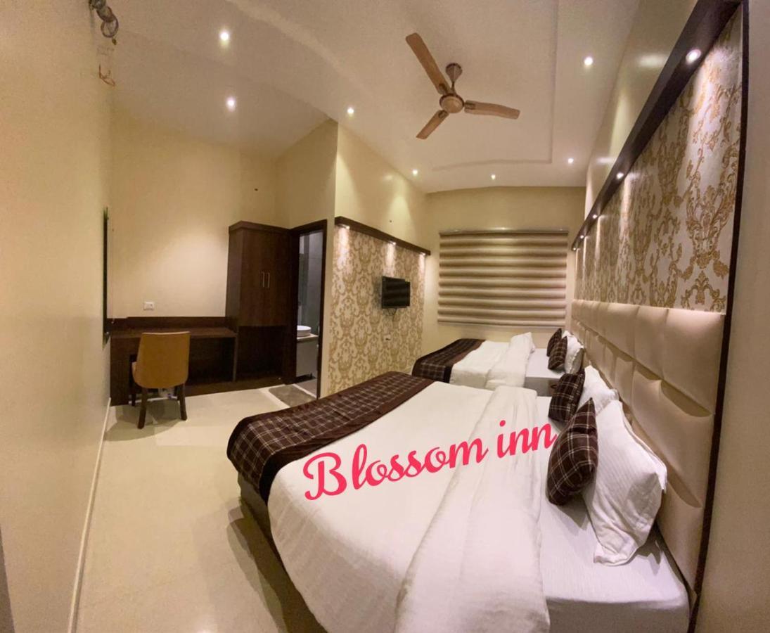 Blossom * Amritsar