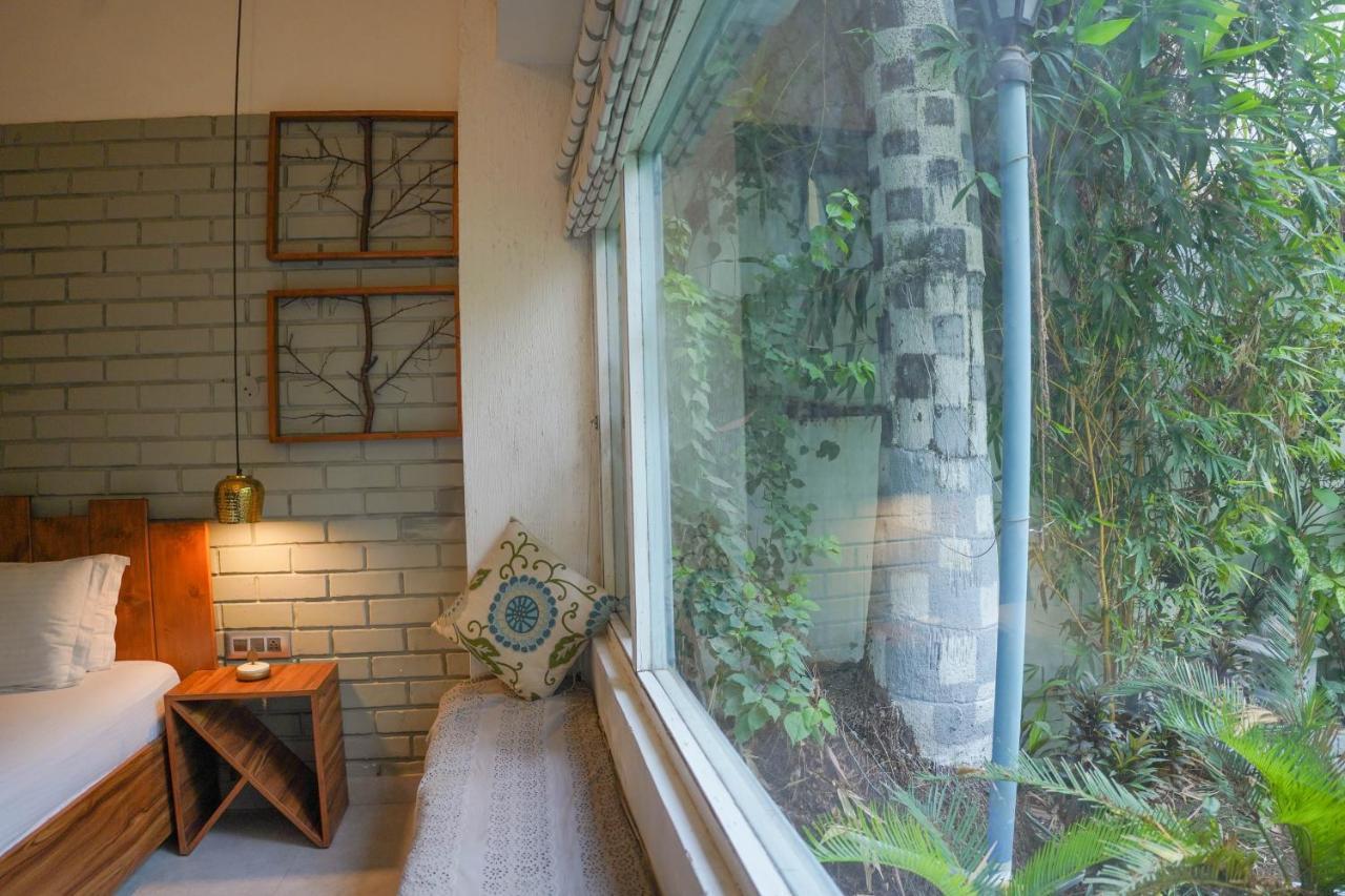 Bed & Breakfast The Bougainvillea