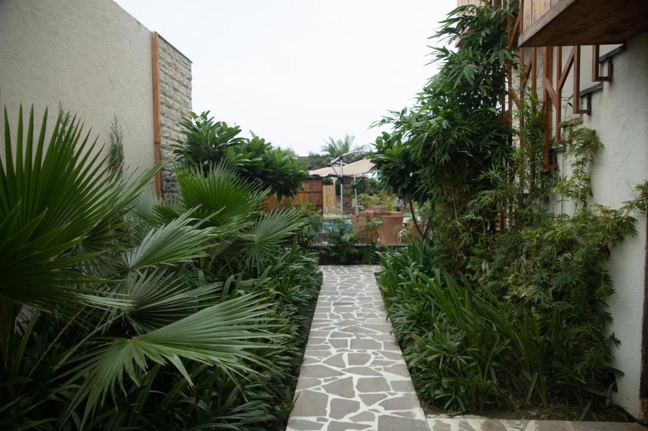 Palm 4*