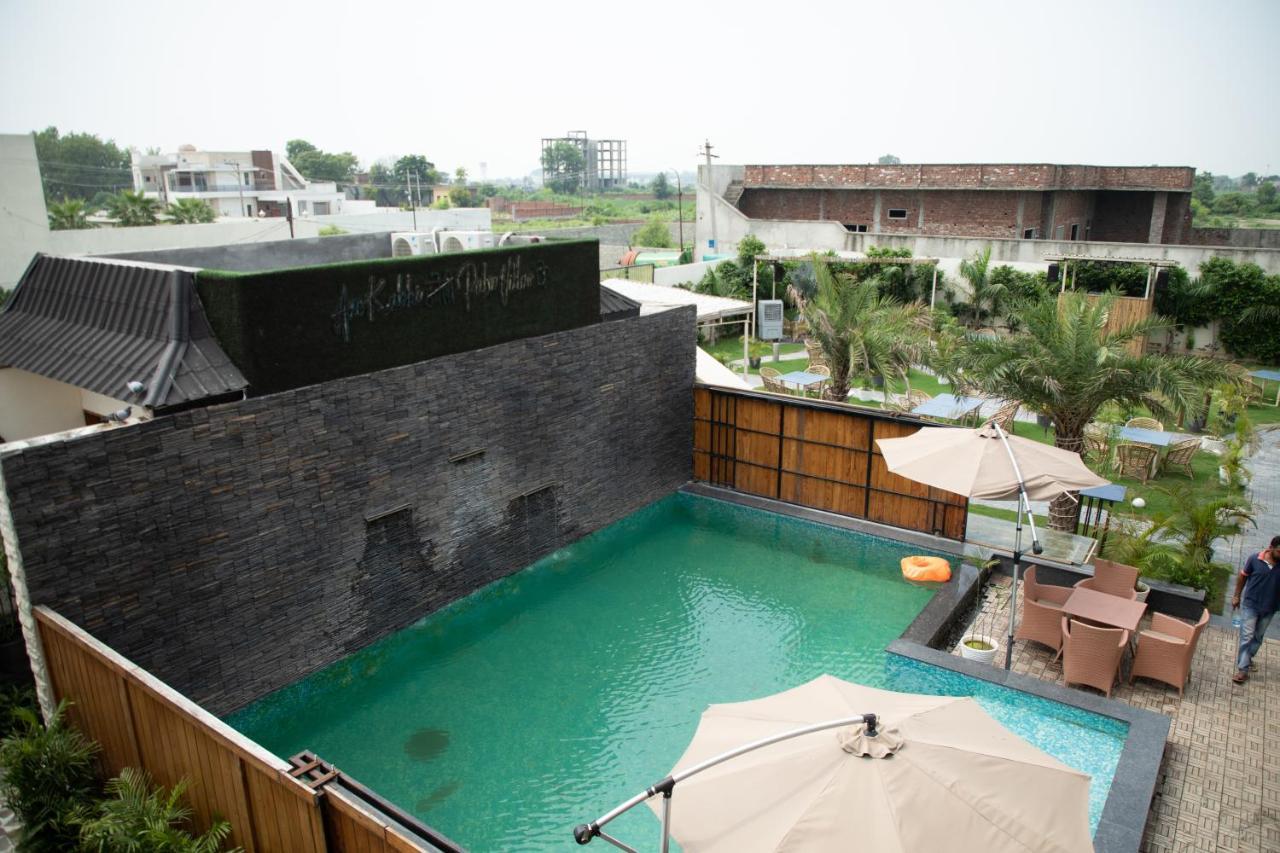 Palm Amritsar