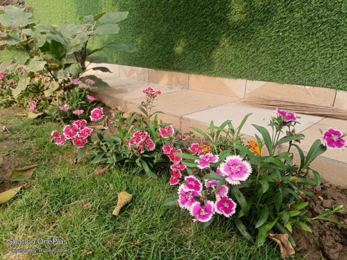 Apartment Ista Homestay
