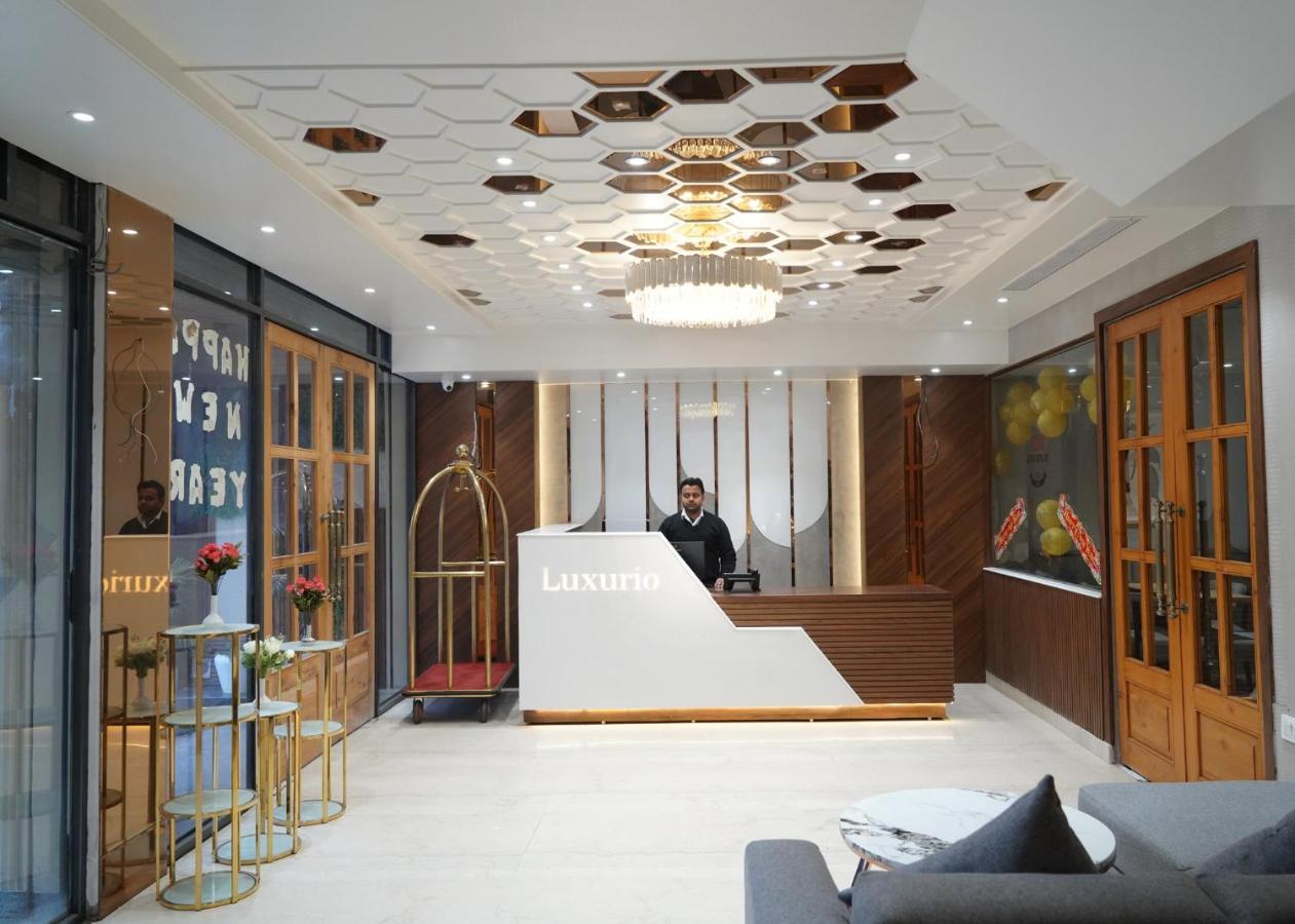 Luxurio - In-house Barista Cafe, Near Golden Temple