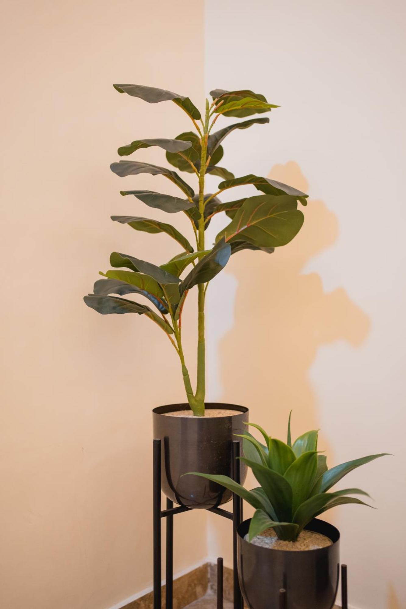 Apartment Silver Leaf
