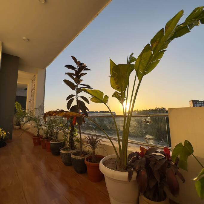 Apartment Hazel : Minimalist Amritsar