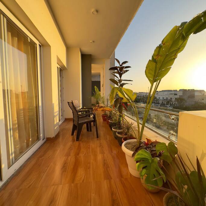 Hazel : Minimalist Apartment Amritsar