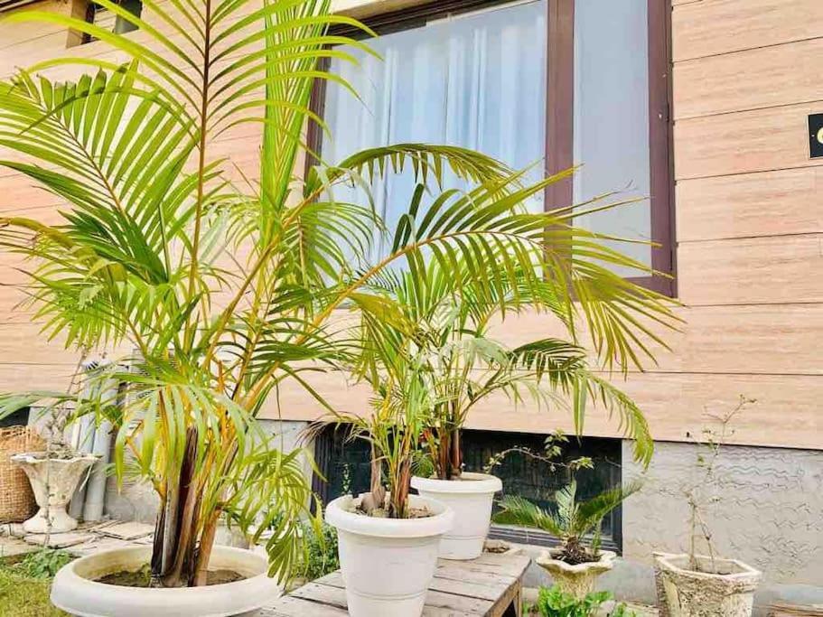 3 Bhk - Woodstock Apartment
