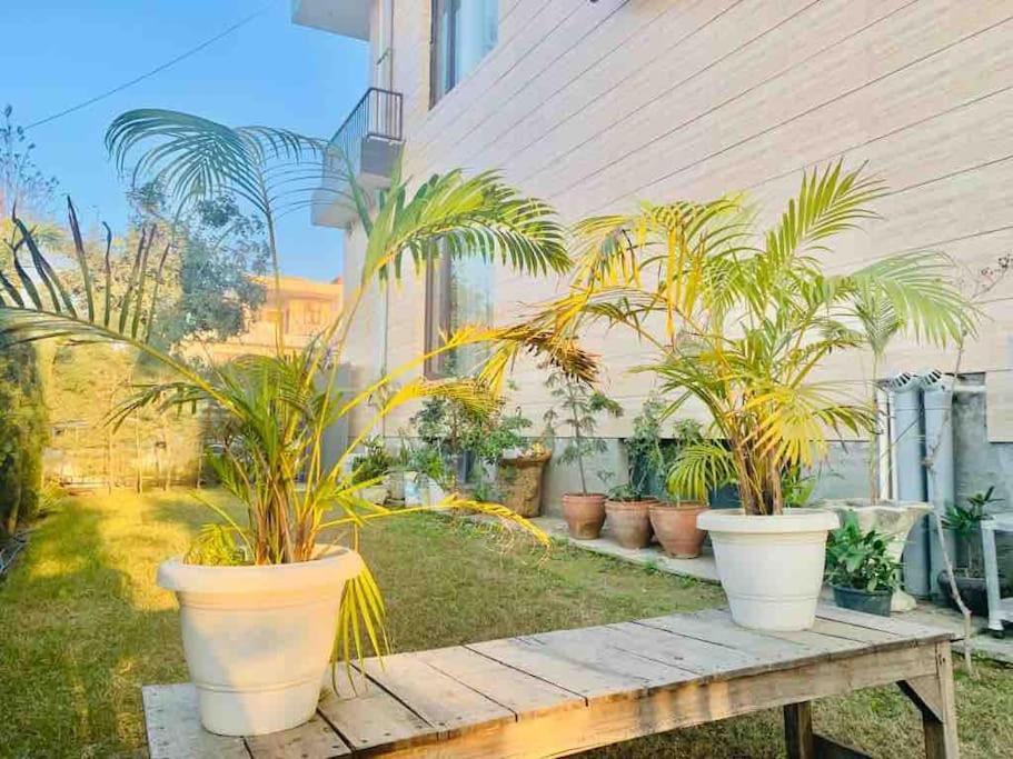 Apartment 3 Bhk - Woodstock