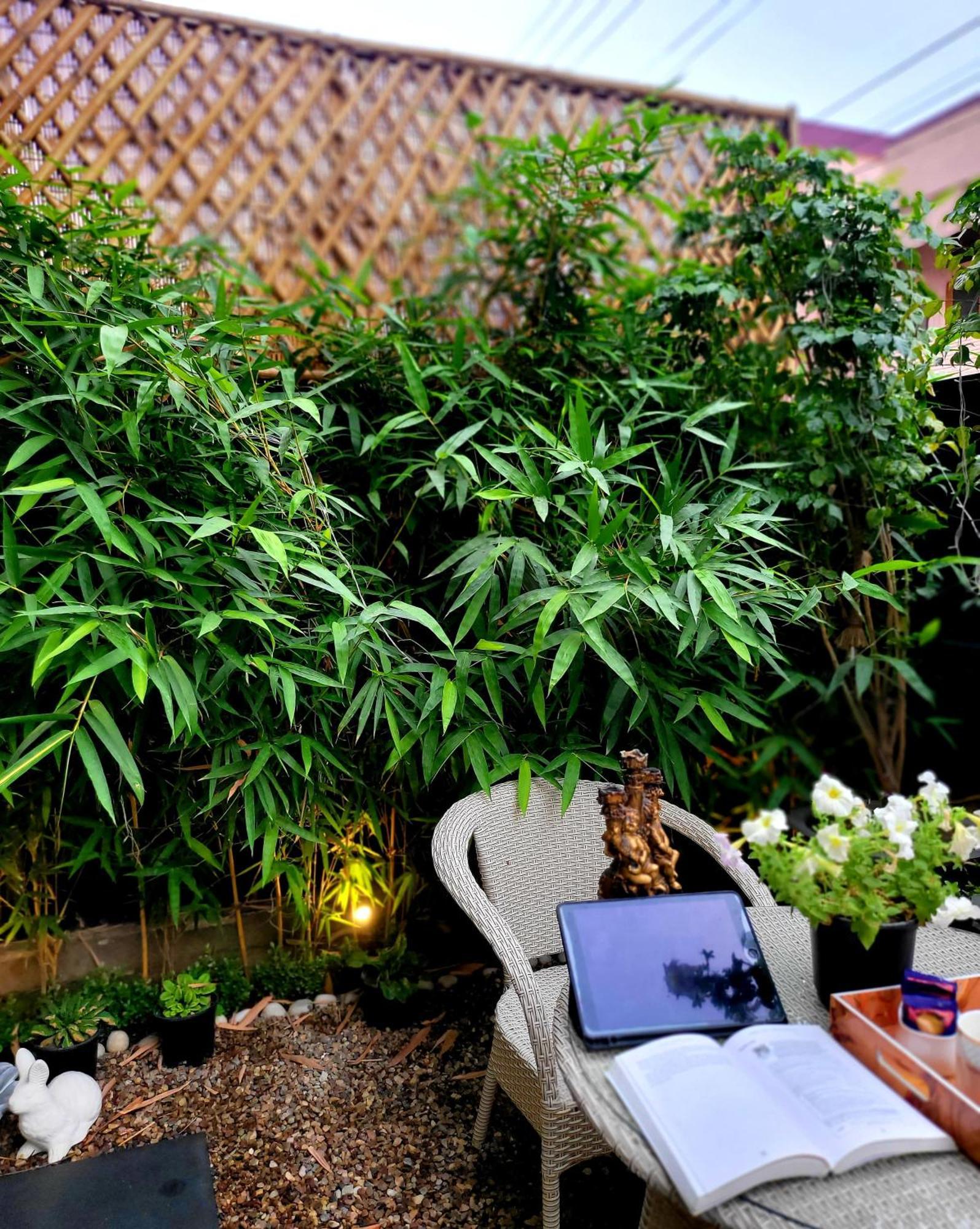 Bed & Breakfast Victorian Elegance Luxury Amritsar