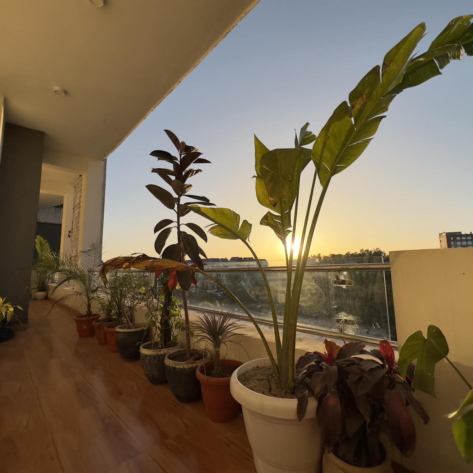 Apartment Hazel : Minimalist