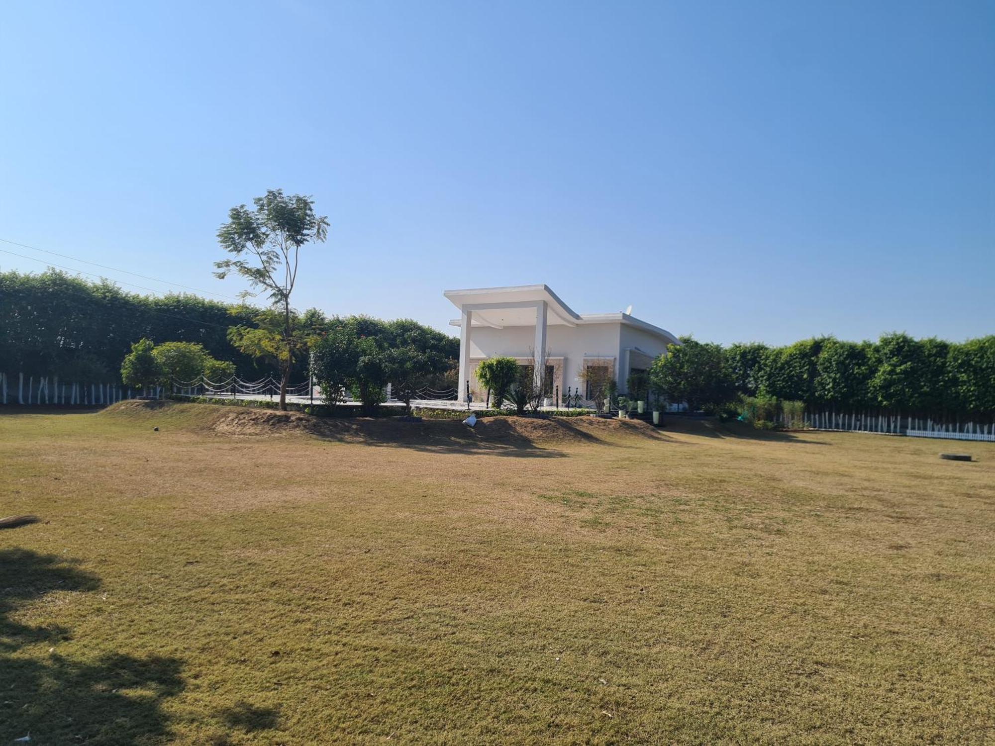Elysium Farms - *