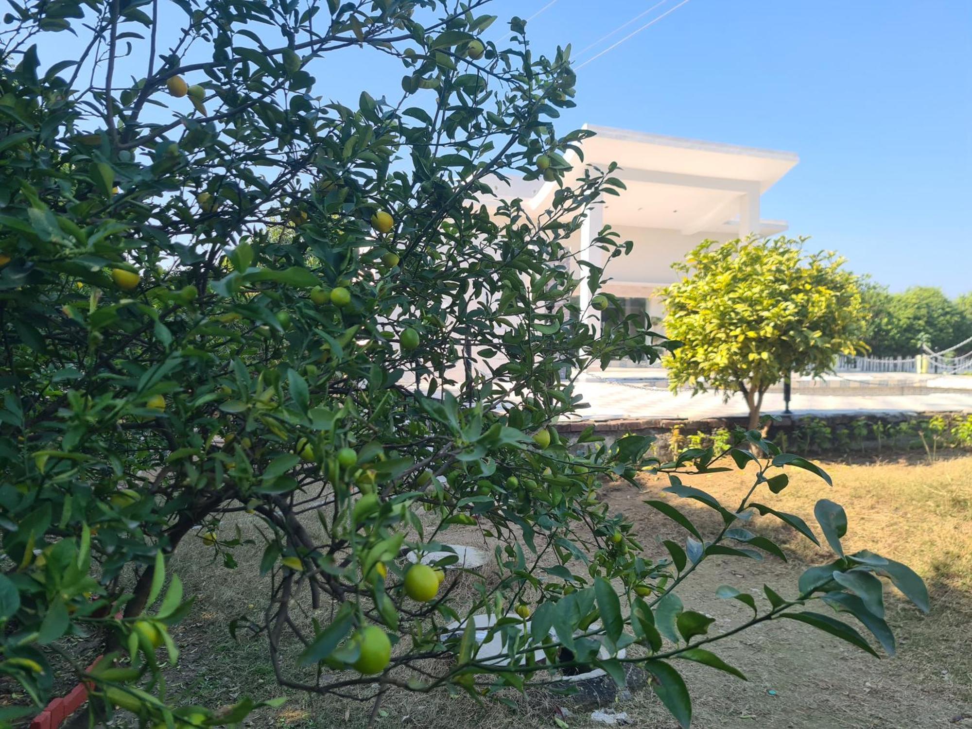 Campsite Elysium Farms - Amritsar