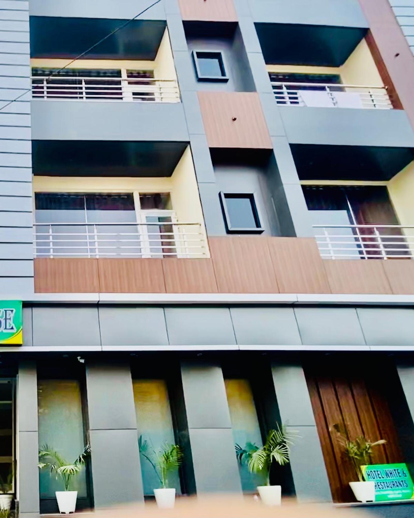 Hotel Blueberry