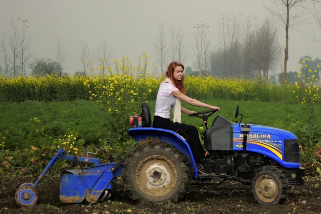 Farmers Farm stay *