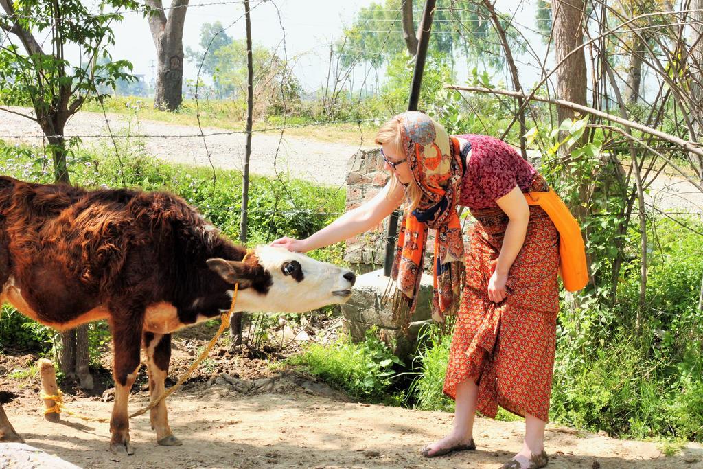 Farmers Amritsar