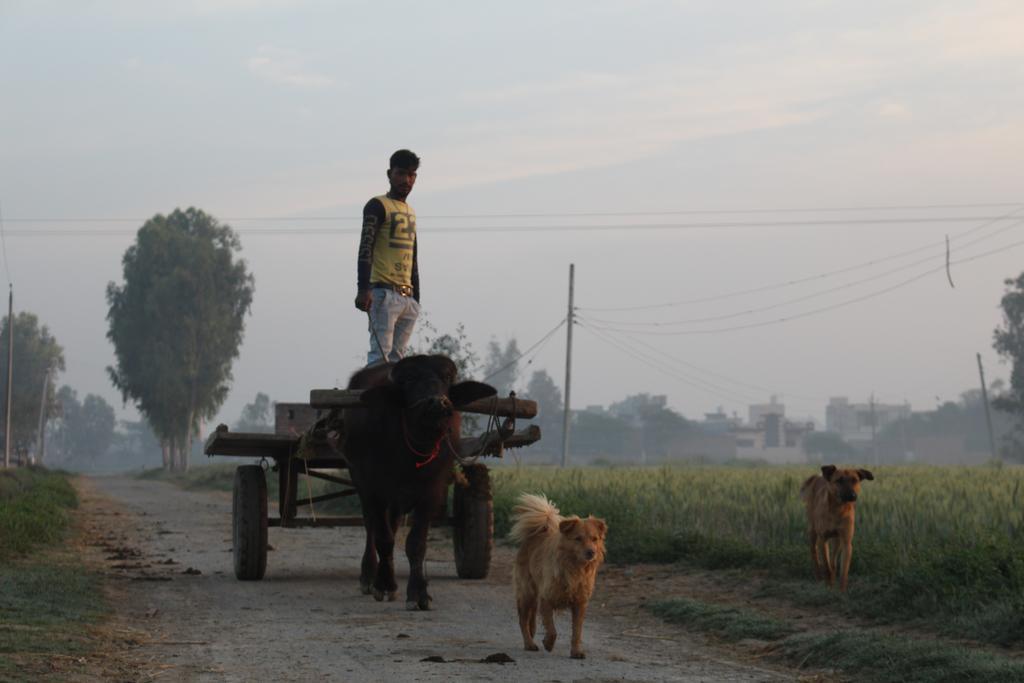 Farmers