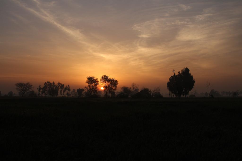 Farmers Farm stay *