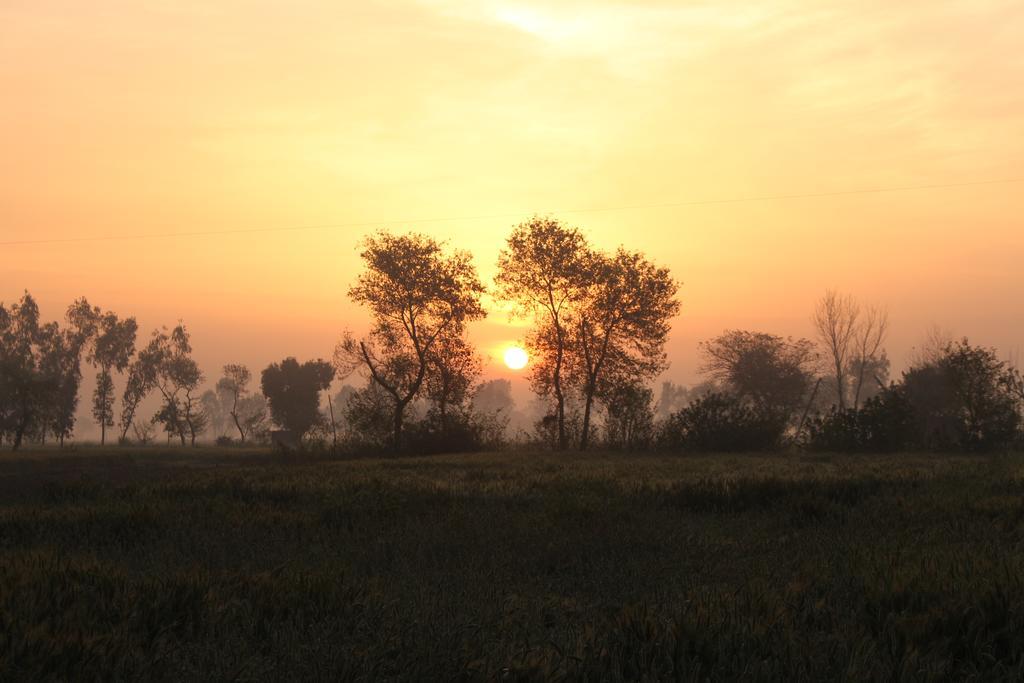 Farmers * Amritsar