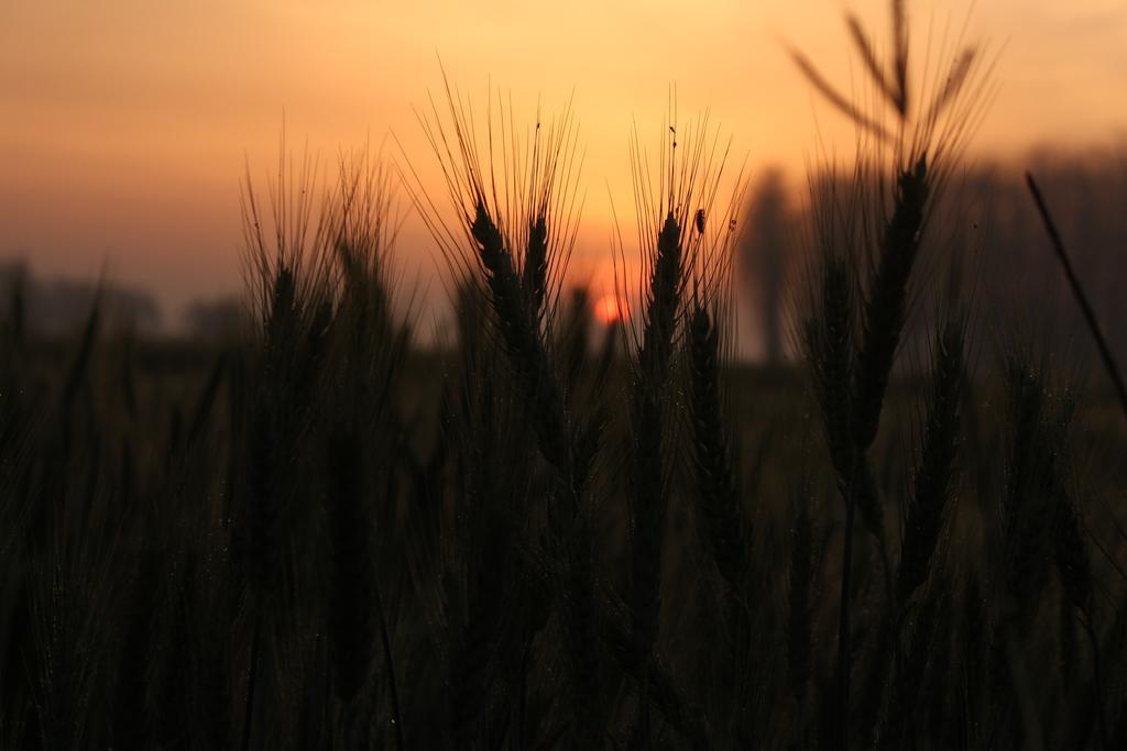 Farm stay Farmers