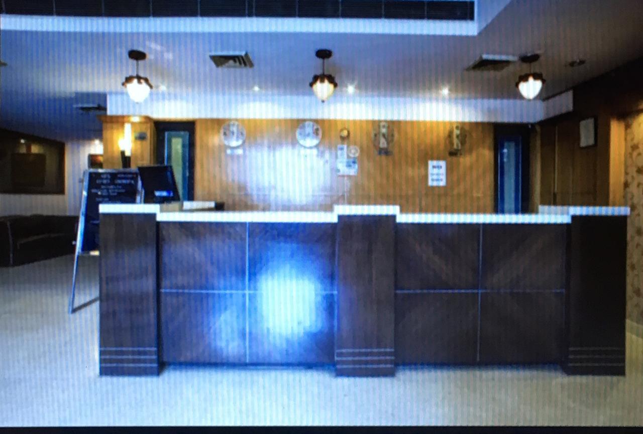 Elm Tree 3*