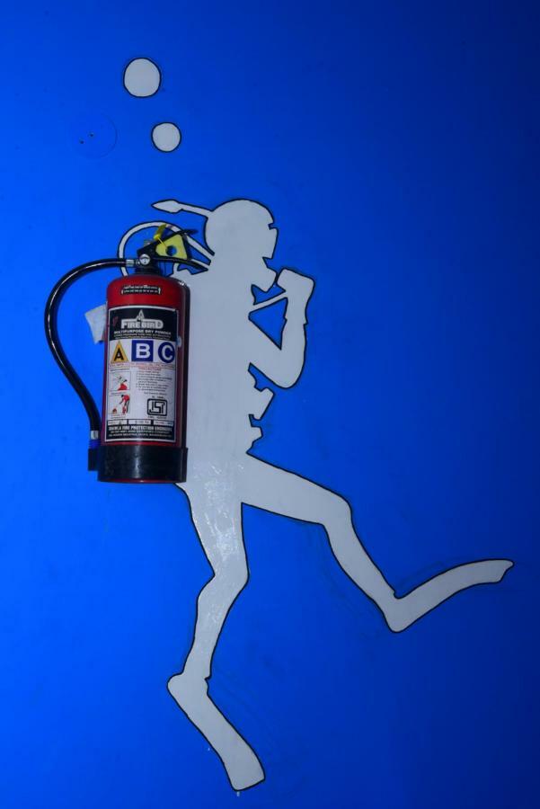 Hostel Nutz Backpackers *