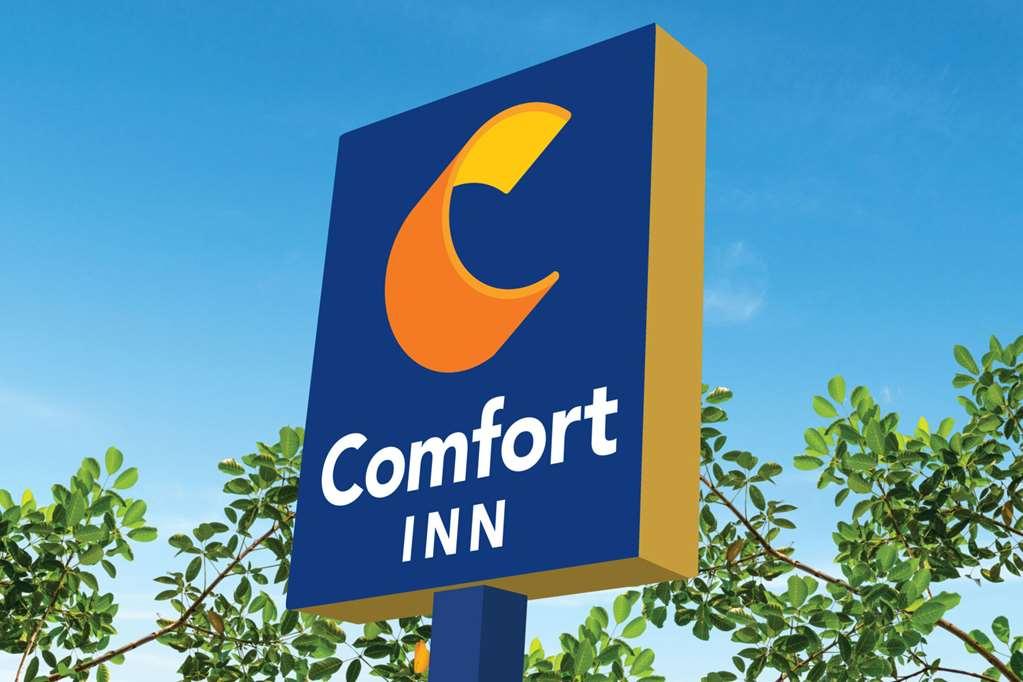 Comfort Hotel Amritsar