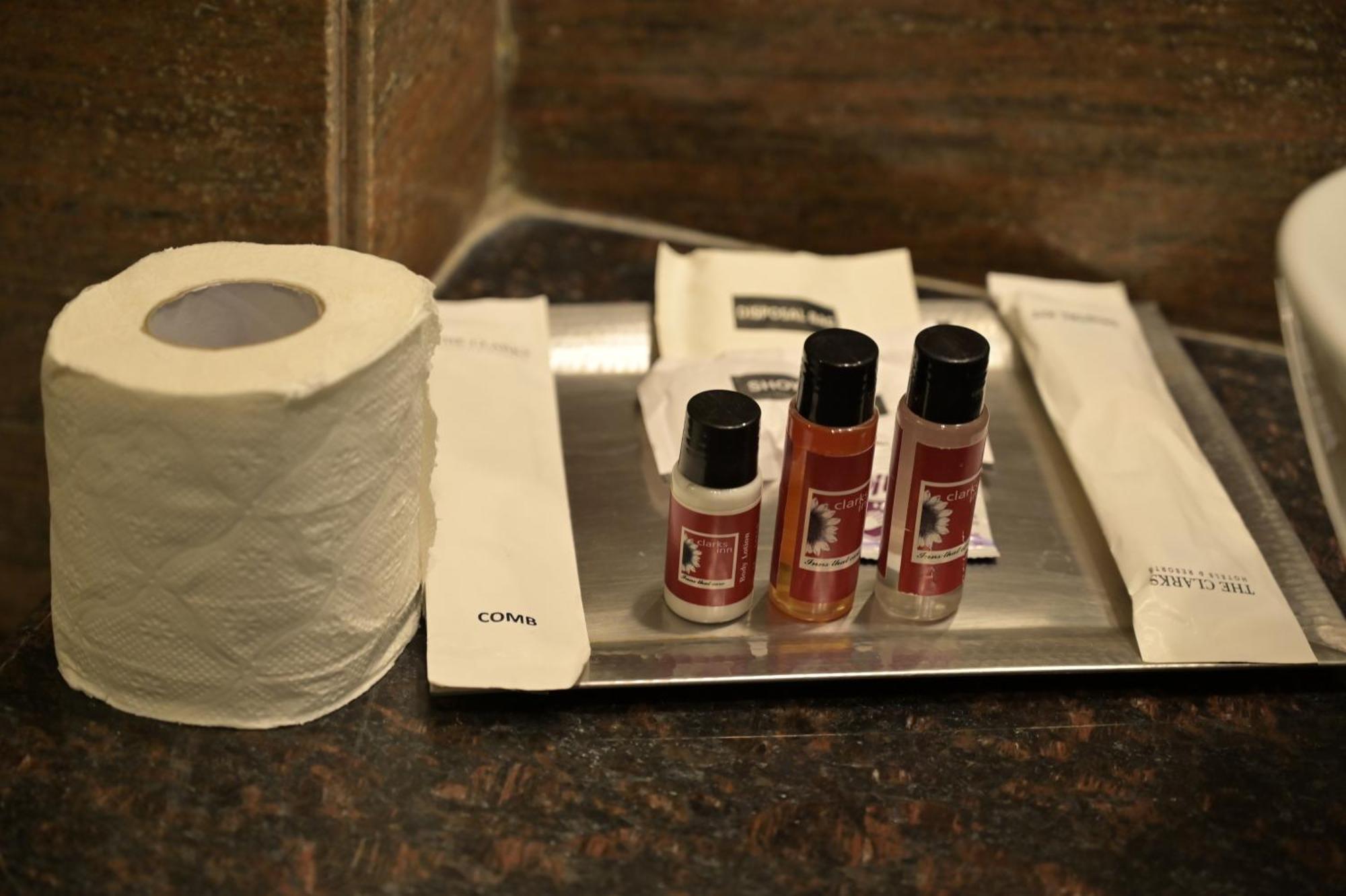 Hotel Hk Clarks Inn, 3*